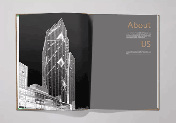 高檔樓書(shū)  第3張 高檔樓書(shū)  第3張