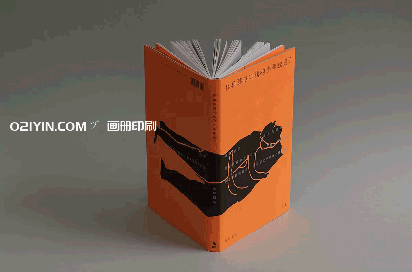產(chǎn)品畫(huà)冊(cè)印刷