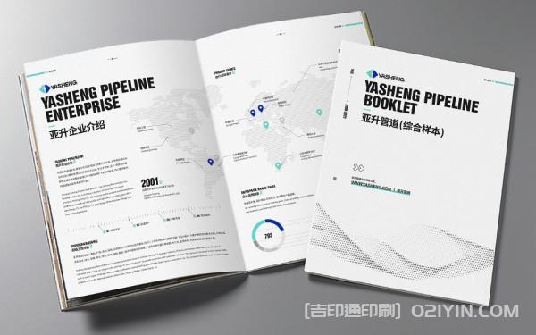 企業(yè)綜合樣本印刷  第2張 企業(yè)綜合樣本印刷  第2張