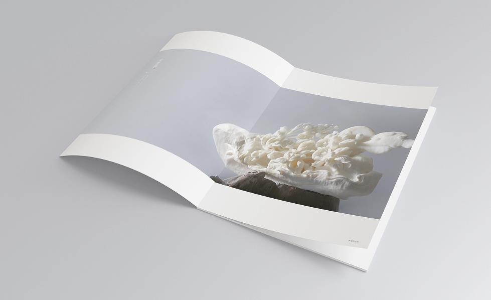 彩頁印刷常規(guī)尺寸有哪些？